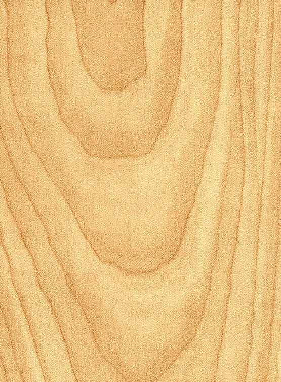 Finishes Leo Rock Maple